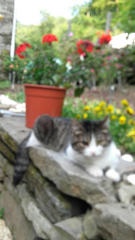 E8482F5B-3158-4311-A2F6-0AF3E72E91EF