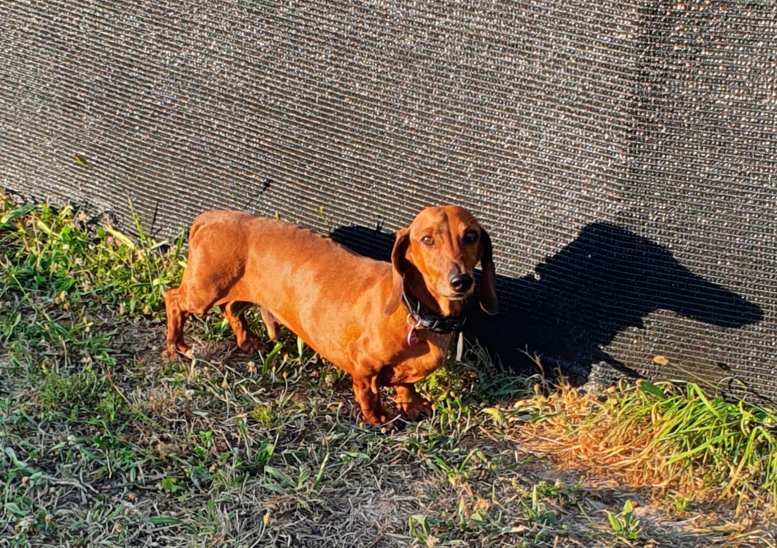 [Image: 20220713-232002.jpg]