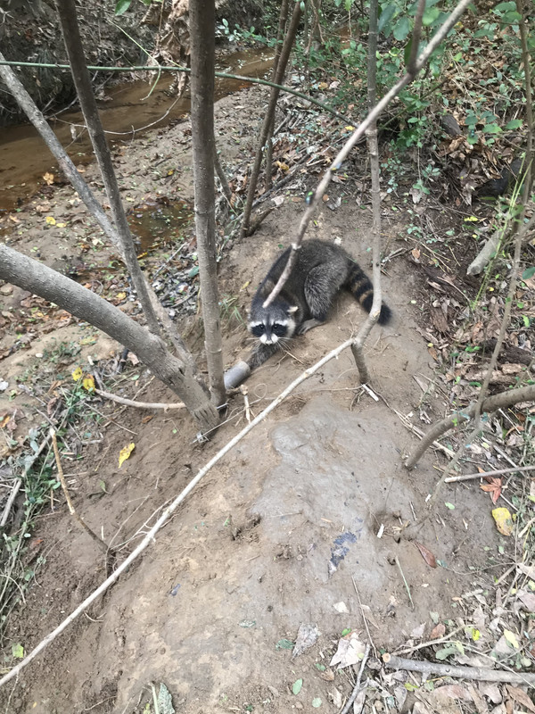 D8085EF9-3C01-4DA3-BB6F-C4877ED45FDE