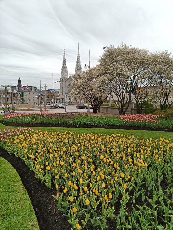 IMG_20210504_142900_434