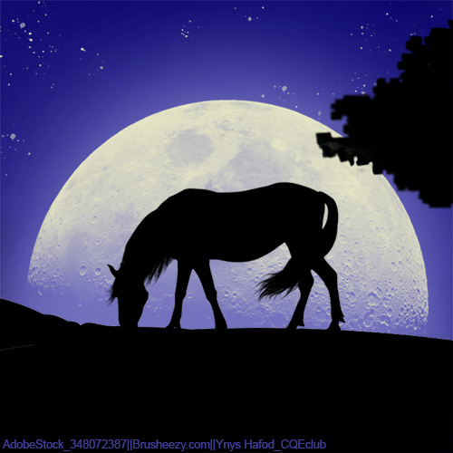 Grazing-Moon-Horse-Avatar.jpg
