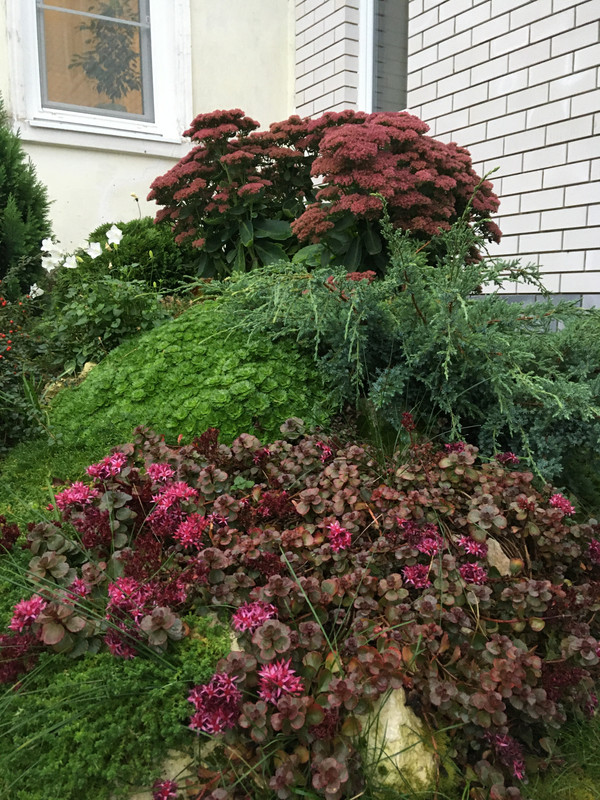 ED9601F8-C51F-4EDC-95C8-8026423B6D65