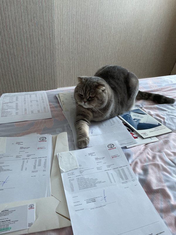 386A7EB8-6E72-4678-AD3A-AF4B3F9E4C00