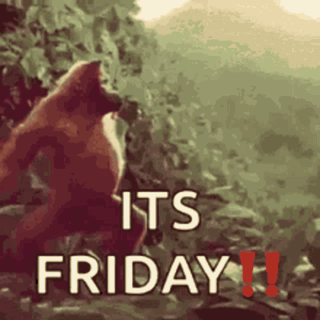its-friday-tgif.gif