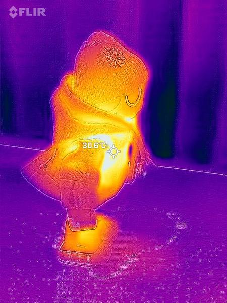 FLIR_20260115_041900_777.jpg