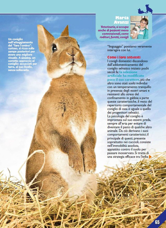 Foc Wil - Mag 2023 (12)