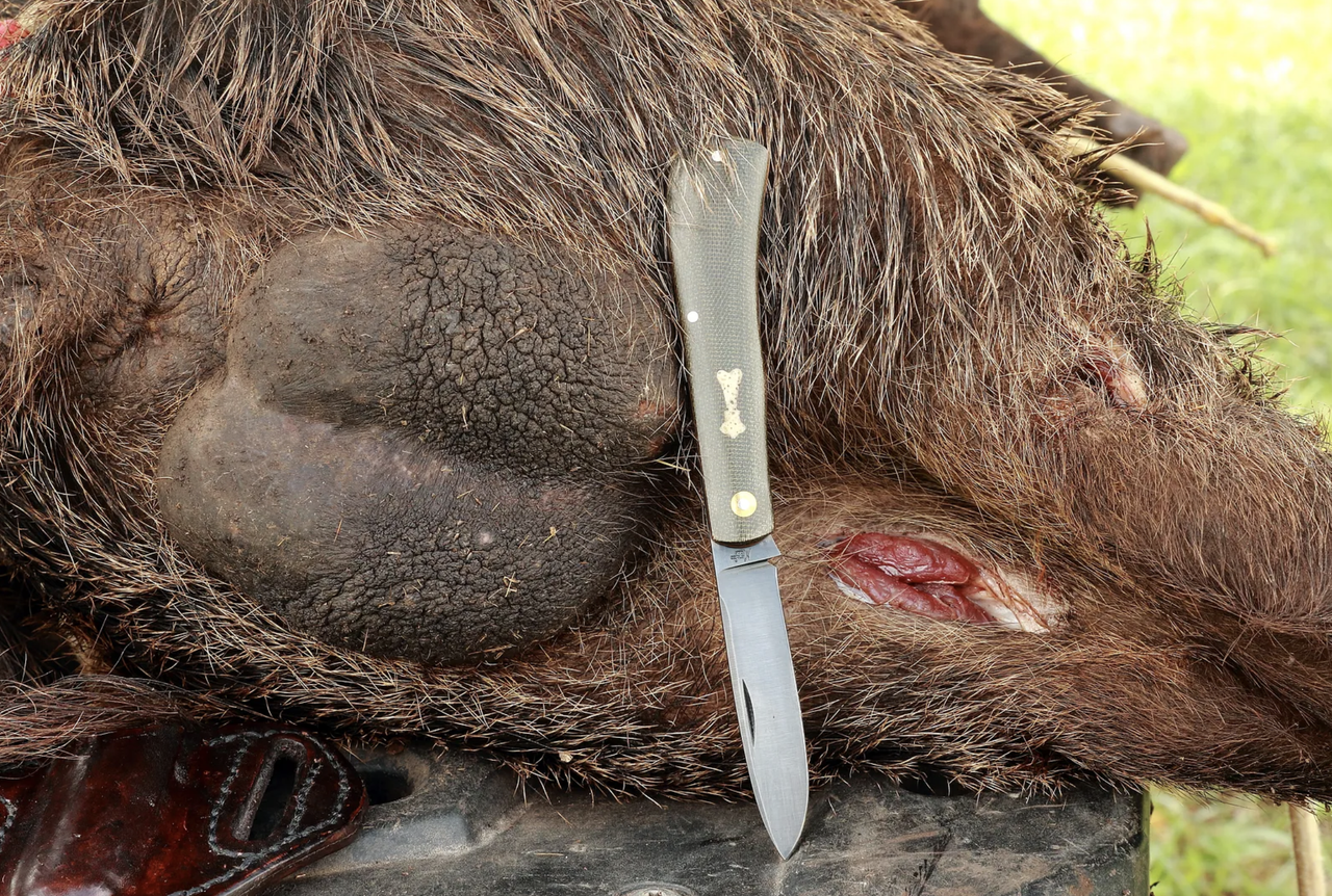 Screen Shot 2026 03 08 at 10 21 33 PM