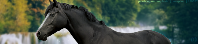 Black-Waterfall-Banner.png