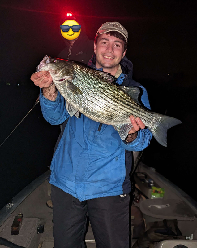 IMG-20240504-WA00012