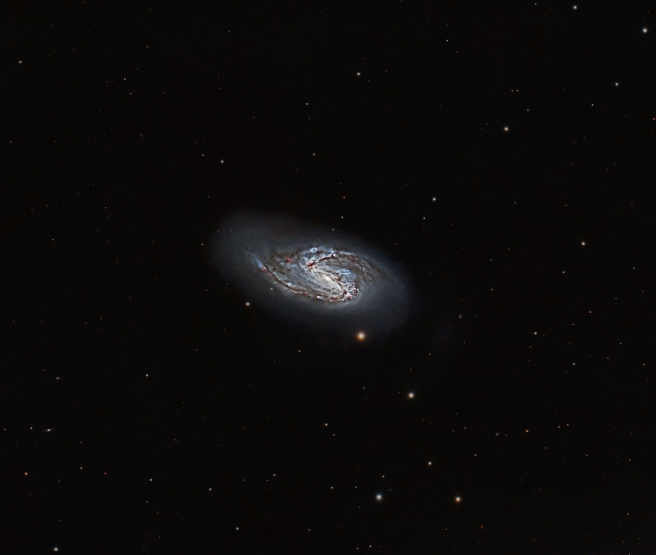 M66_240511 (482x60''__G101_25d_f_df_L_Pro)