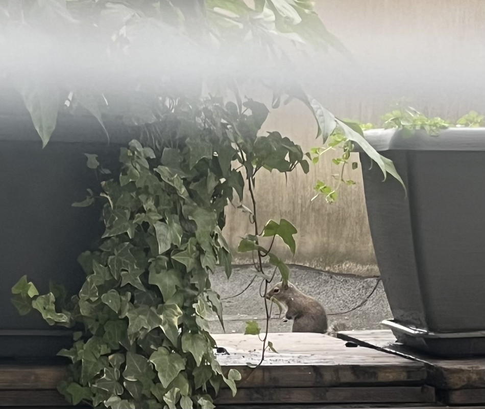 89813CF4-A041-44D7-8B3E-B744C4D4685E