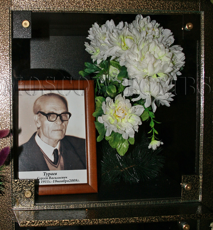 turaev-sv