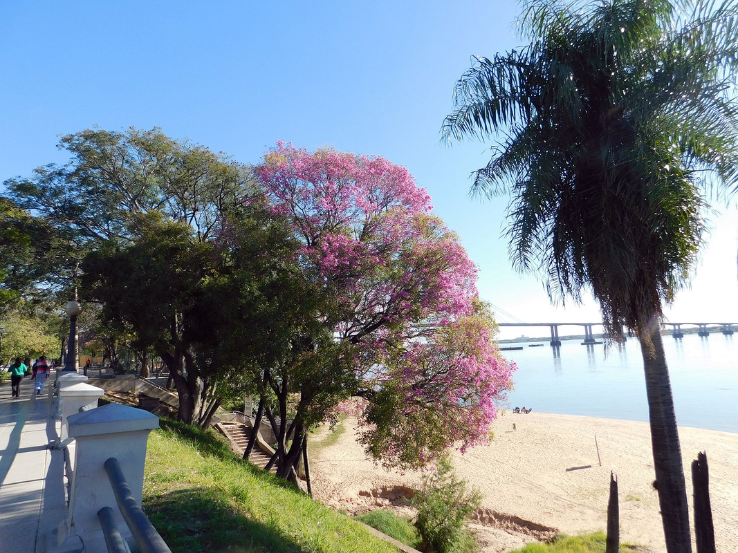 DSCN0439.jpg