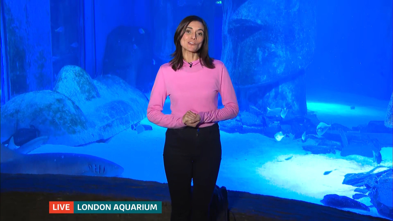 ITV Evening News_20230202_18301930.ts_snapshot_00.49.11.622