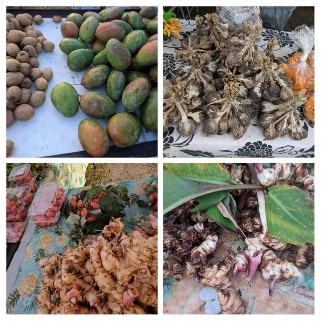 [Image: 20190330-133705-COLLAGE.jpg]