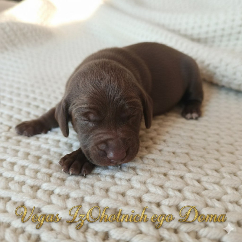 изображение_viber_2025-09-25_16-20-46-661