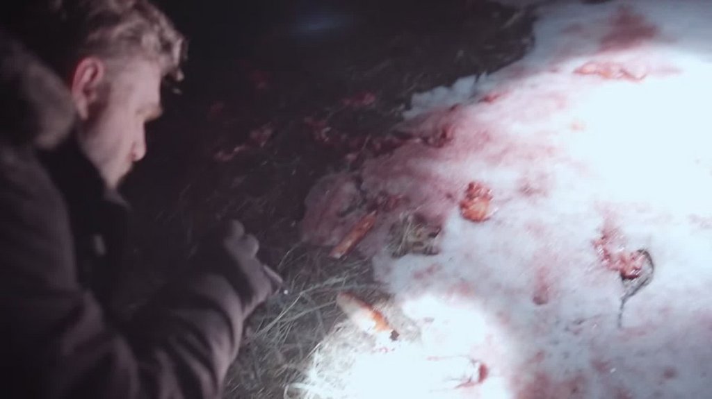 [Image: vjksqyc95w14.jpg]