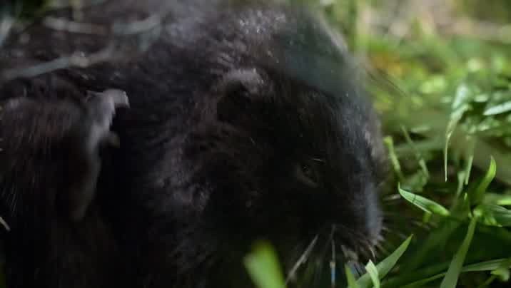 [Image: i0ot8b3ieu6n.jpg]