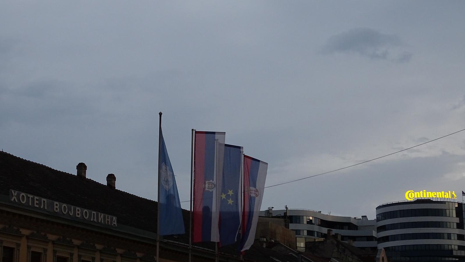 DSC02022.jpg