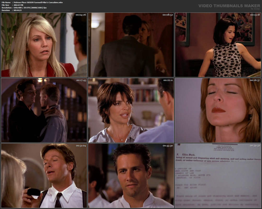 Melrose Place S05E09 Farewell Mike's Concubine.mkv