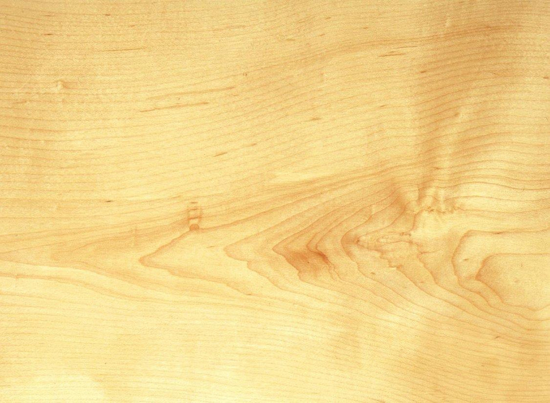 wood-texture-3dsmax-139
