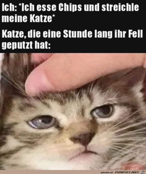 thumbs-picdump906-017.jpg