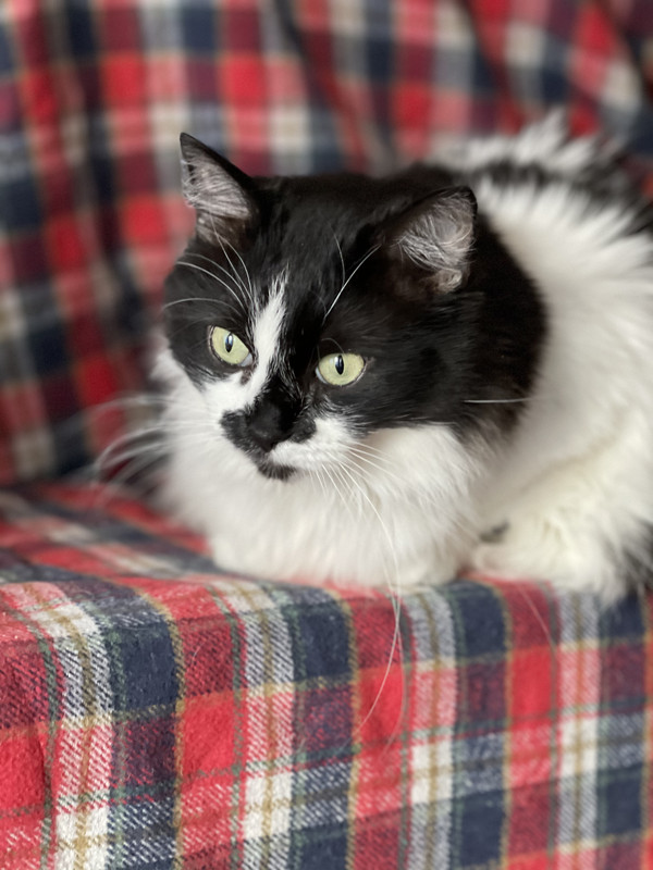 7CB45BA2-EFCE-4D38-9F86-263096DC9BB4