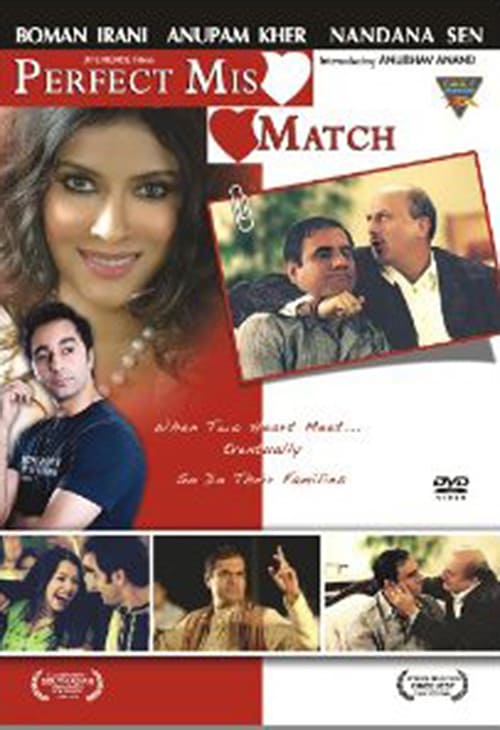 Perfect Mismatch 2009 1080p AMZN WeB DL H264 DDP 2 0 Dus
