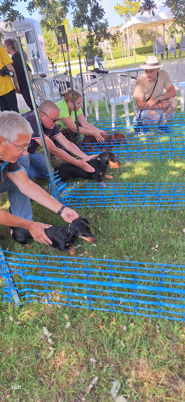 [Image: 20250615-174904.jpg]