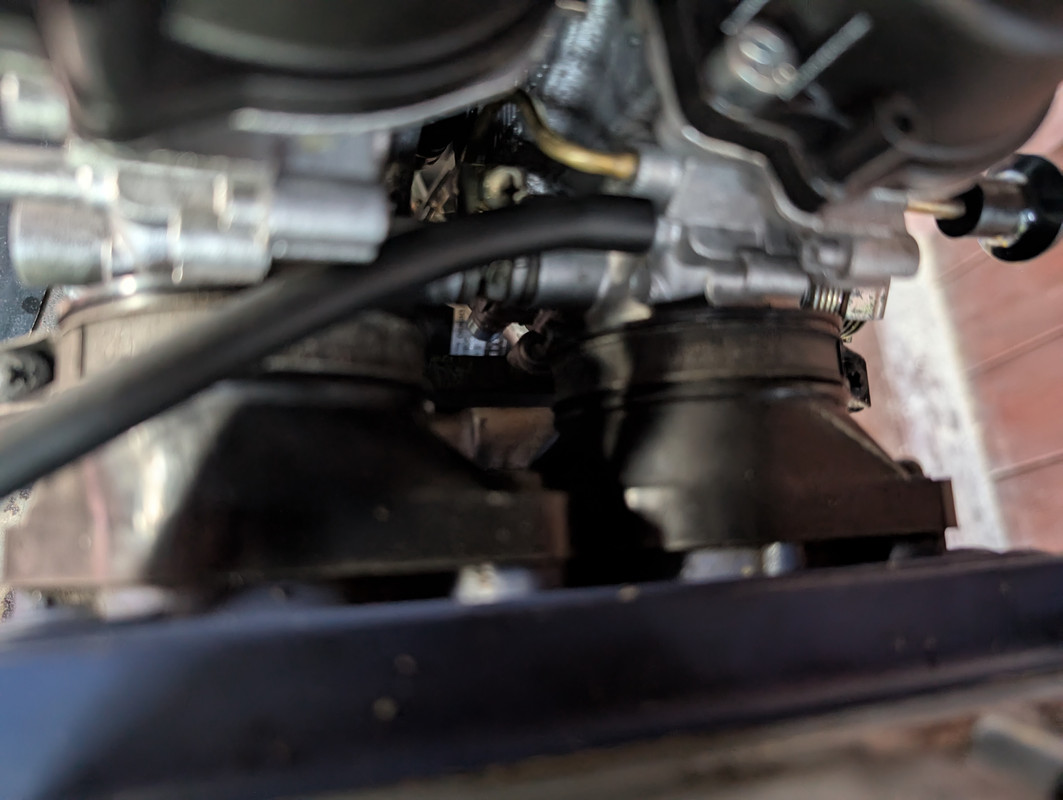 PXL_20250617_185354576[1]