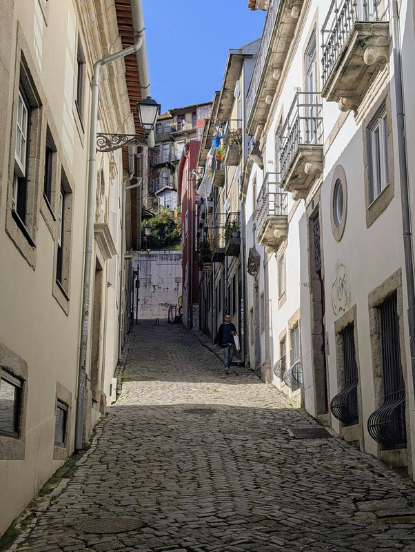 644531510 25568699319496364 9039290802659367839 n