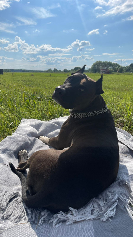 WhatsApp Image 2023-07-11 at 12.49.34 (1)