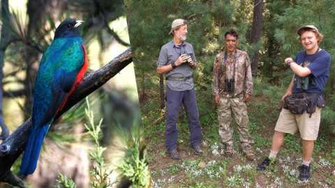 Know more about tom johnson birder