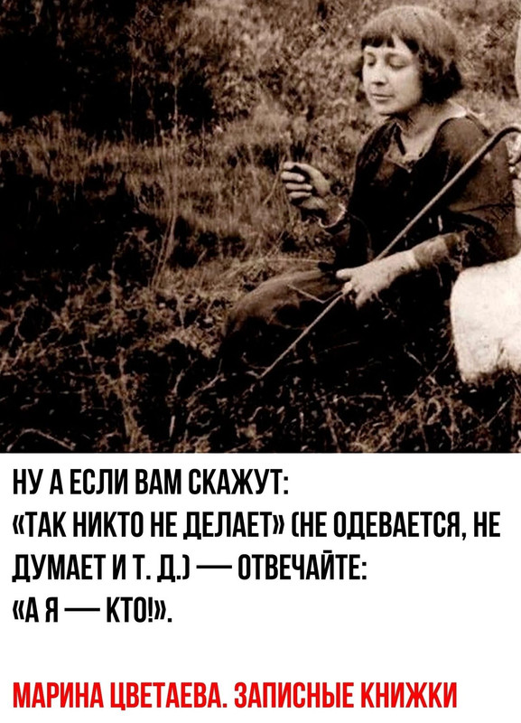 [Изображение: 58362084fffa45b976c6d19b476ea564.jpg]