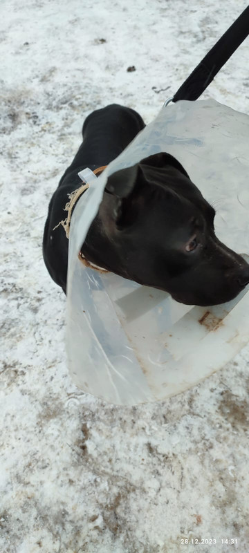 WhatsApp Image 2023-12-28 at 14.39.21 (3)