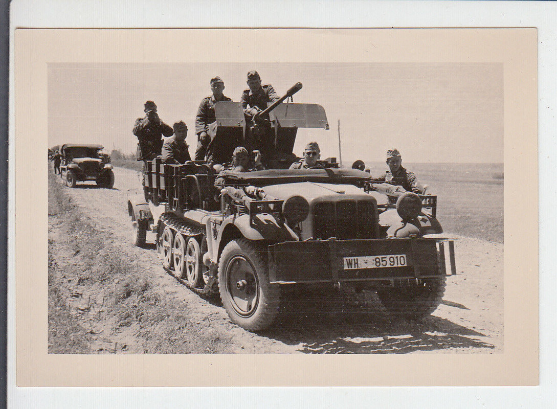 Halbkettenfahrzeug mit leichtem FLAK Geschütz in Russland - Foto