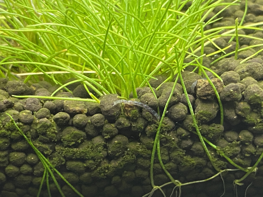 05003625-AE75-4F52-B22C-B7ABA74899B7