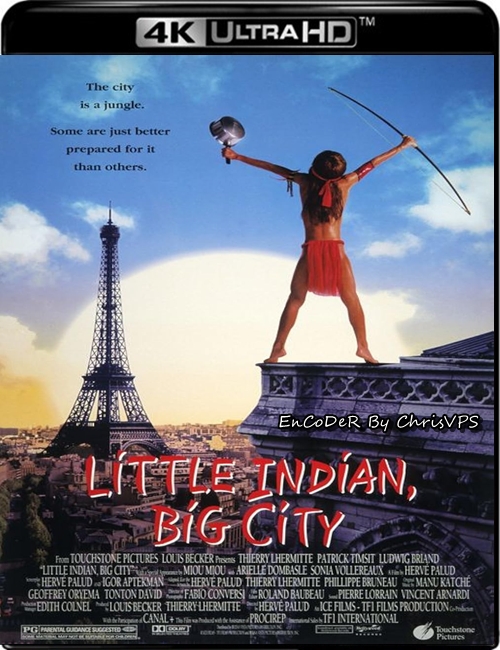 Indianin w Paryżu / Un Indien dans la ville / Little Indian, Big City (1994) MULTI.HDR.2160p.BDRemux.TrueHD.AC3-ChrisVPS / LEKTOR i NAPISY