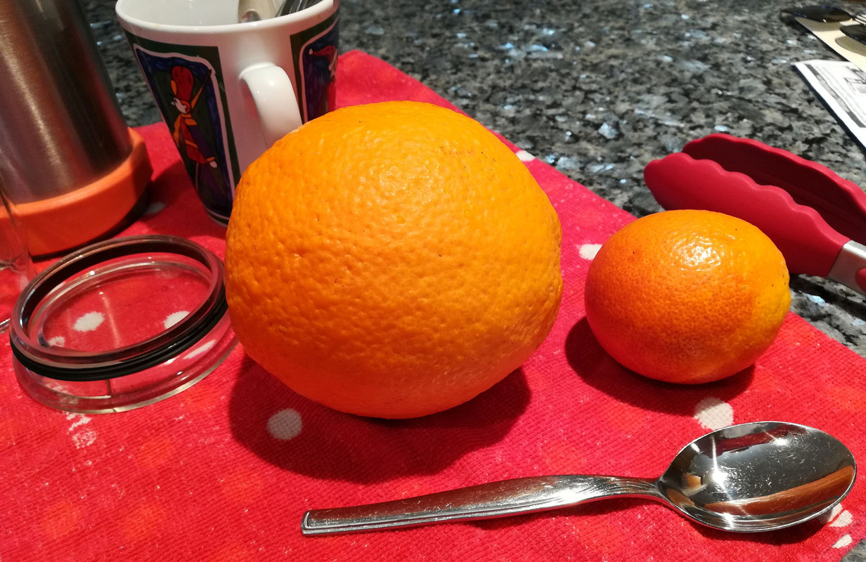 OrangesMarch10
