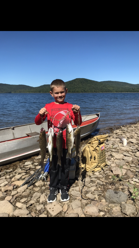 84EA13A5-401B-43A2-B5F2-BCE8C1B663D3