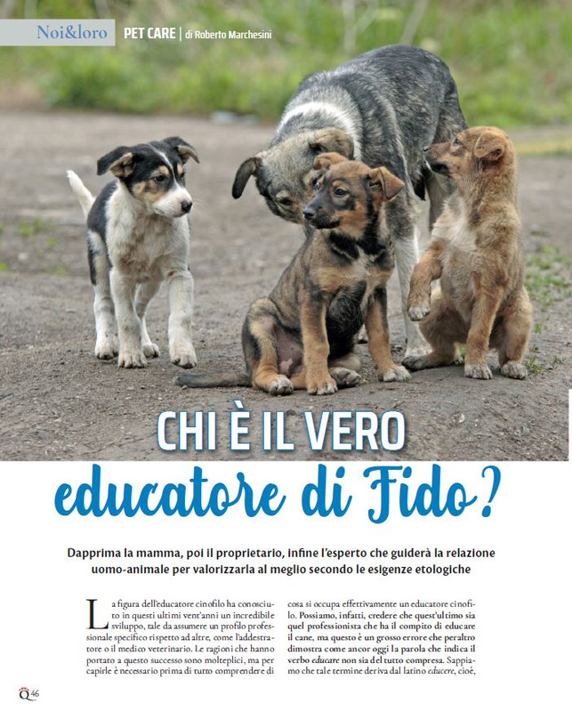 QuattroZampe Set 2021 (3)