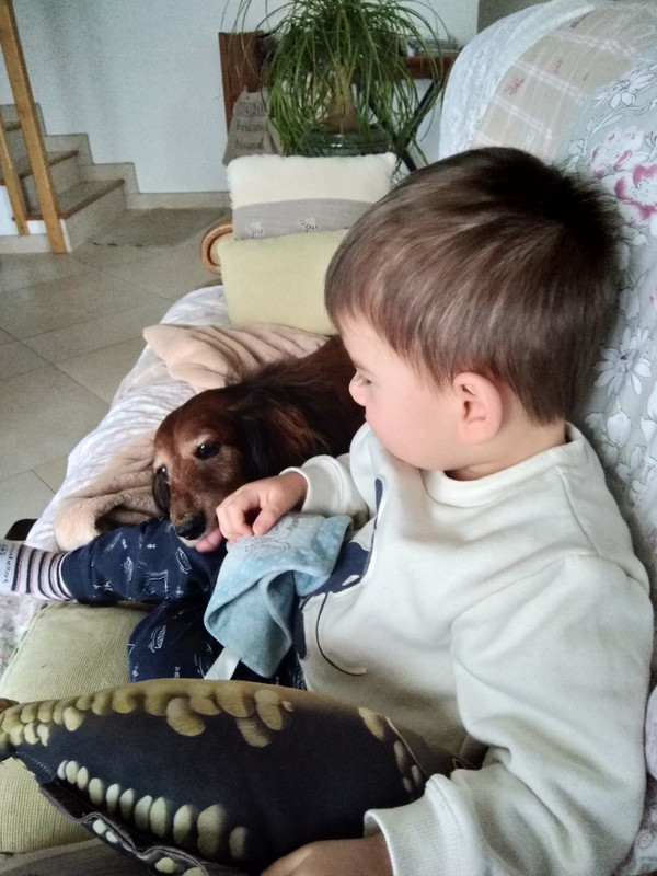 [Image: IMG-20231128-152703.jpg]