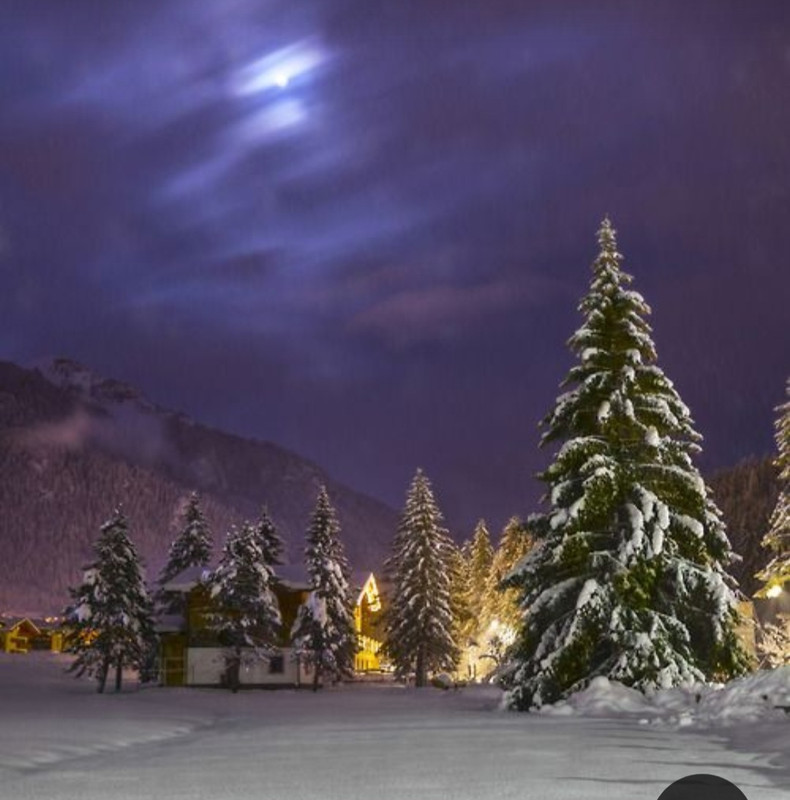 Screenshot_20231019_201204_Pinterest