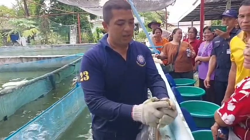 vlcsnap-2025-09-14-13h54m28s571