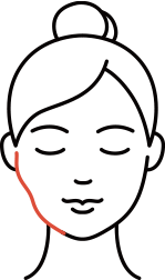 땅콩형 얼굴 라인