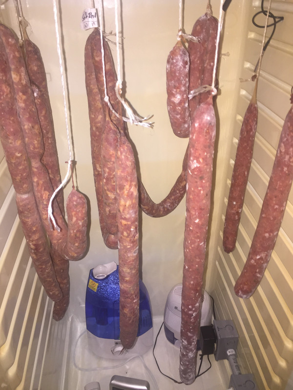 997FB053-CAB4-4AA3-B6BB-4765C489F4EA