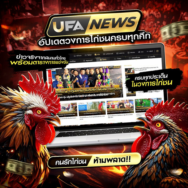 photo-2025-11-17-19-55-28