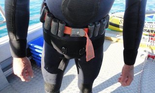 Correct-Size-Of-diving-weight-belt-main-