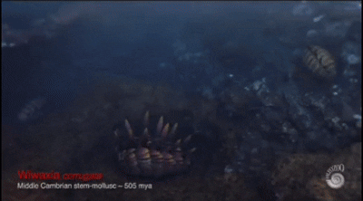 screen-20250927-2123502.gif