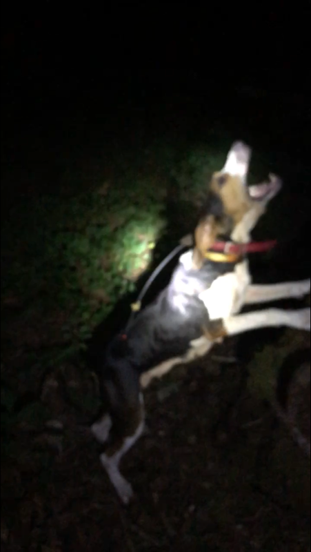 B264408E-19A6-42B3-848D-98DB2EE89889